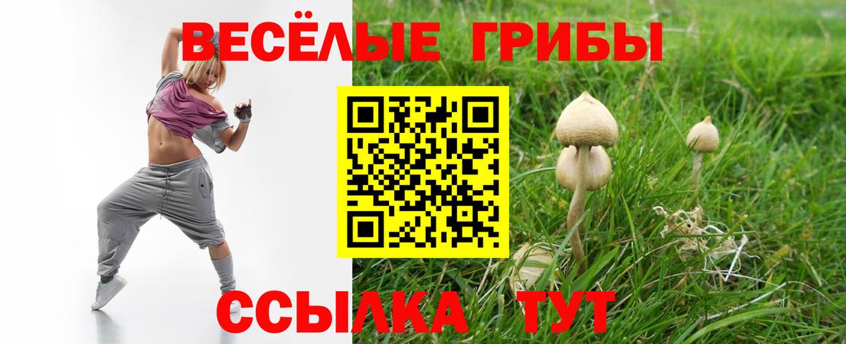 Галлюциногенные грибы Magic Shrooms  закладка  Корсаков  Псилоцибиновые грибы MAGIC MUSHROOMS  Вход с VPN 